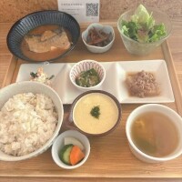霞-かすみ【FG系列】