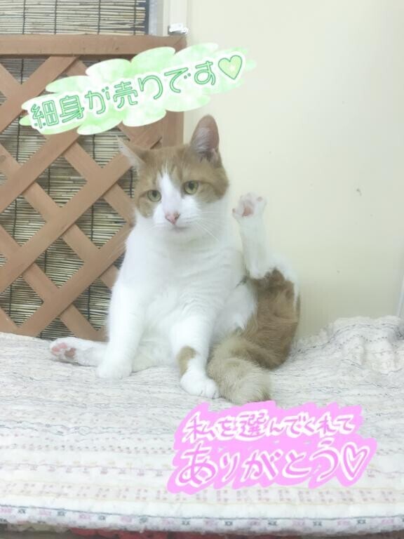 お礼日記?
