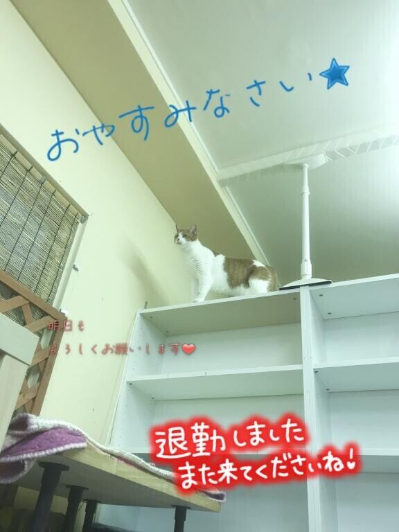 お礼日記?