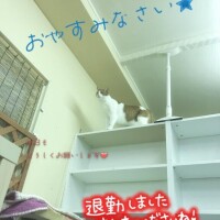 お礼日記?