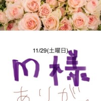 静香-しずか【FG系列】