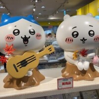 若菜-わかな【FG系列】