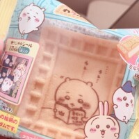 本日、出勤です