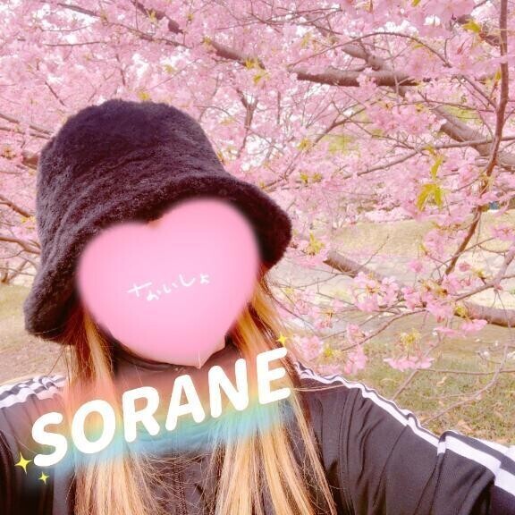 3/27 ありがとう⸜🌷︎⸝