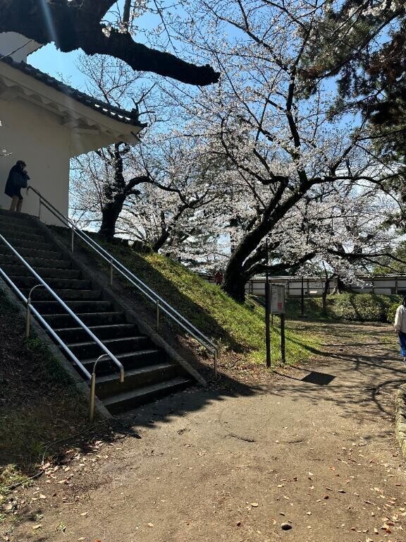🌷ありがとう