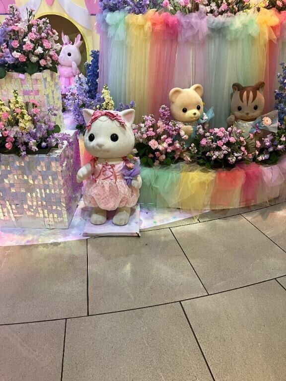 🐱そういえば🐱