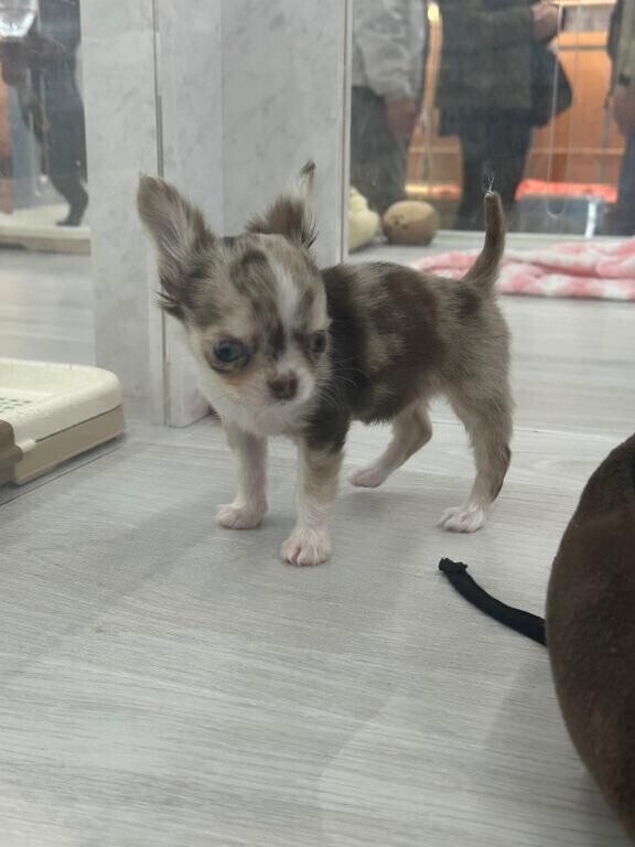 癒し❤️