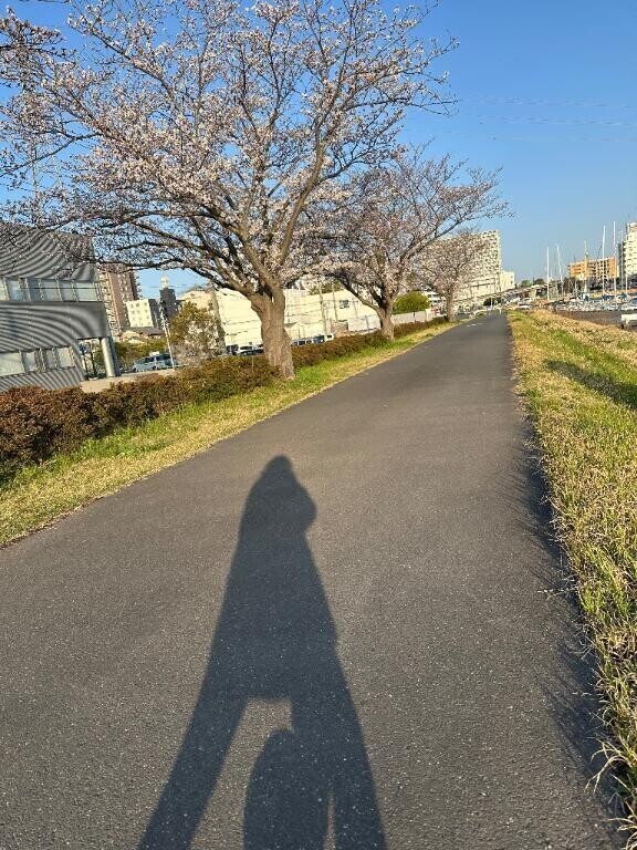 🌷おはよ土浦🌸