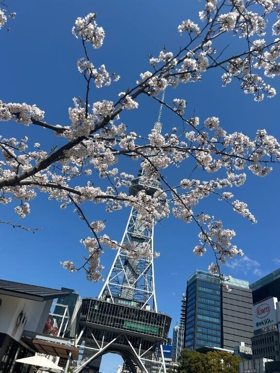 またまた4月11日から✨️✨️
