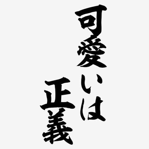 推しが出来そうです！？