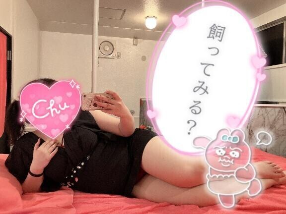 🐱ありがちょ🐱
