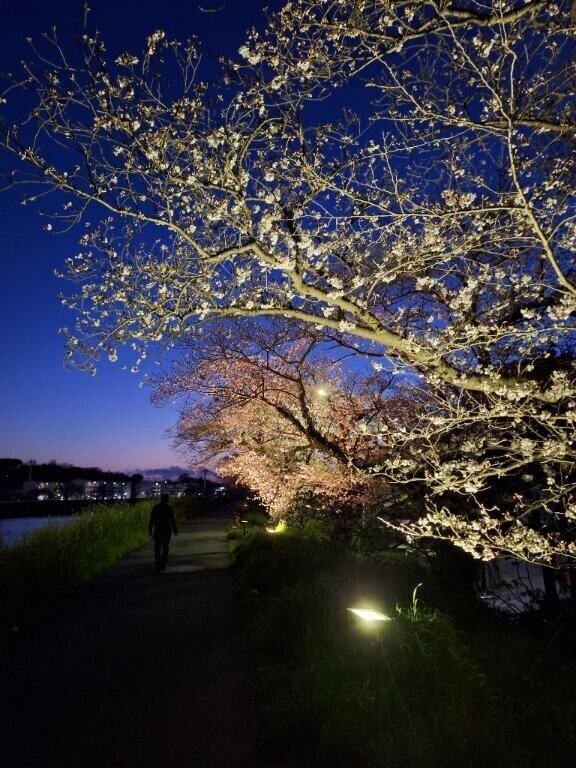 夜景