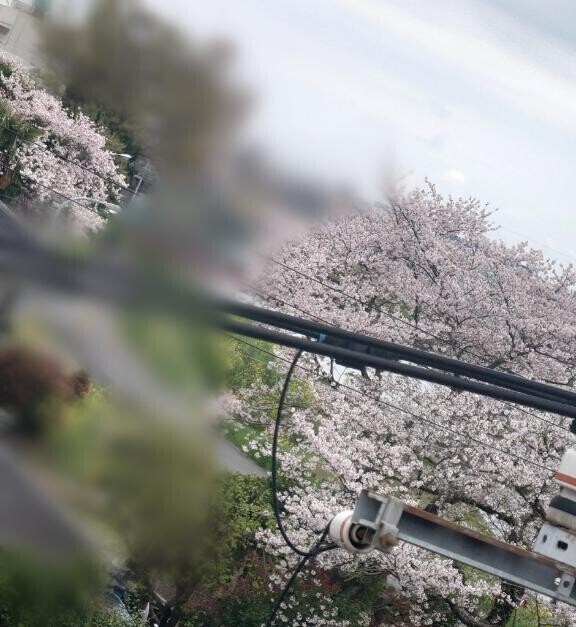 土浦に来てから🤧