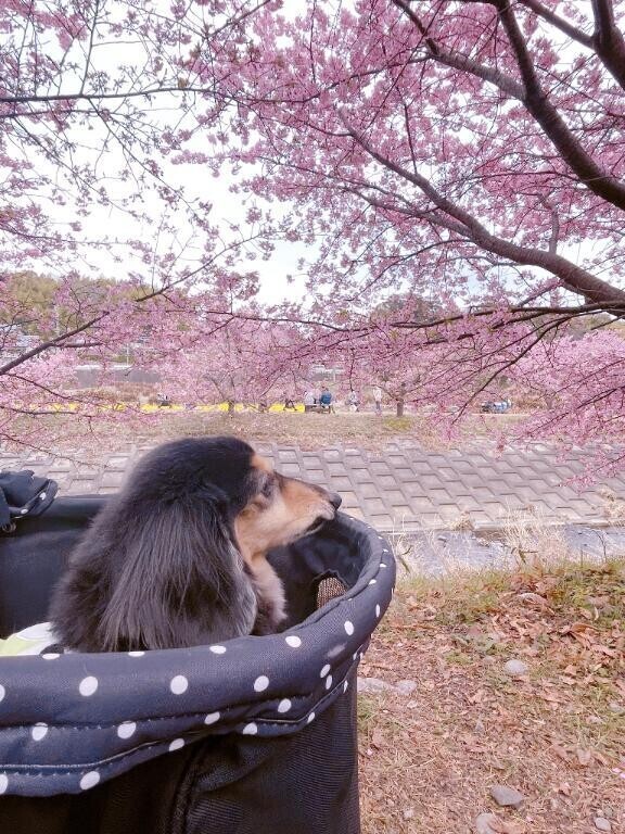 お詫び🙇‍♀️