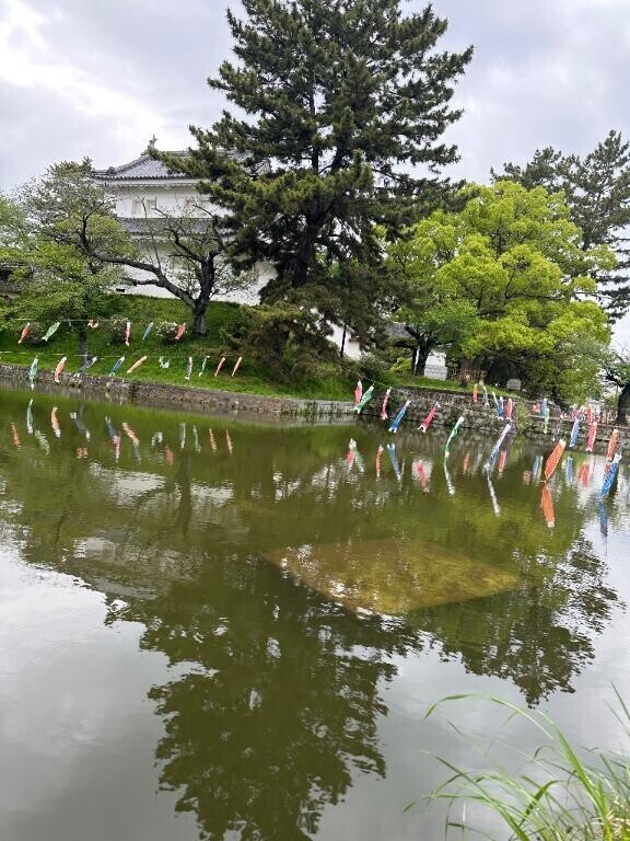 💐こどもの日🎏