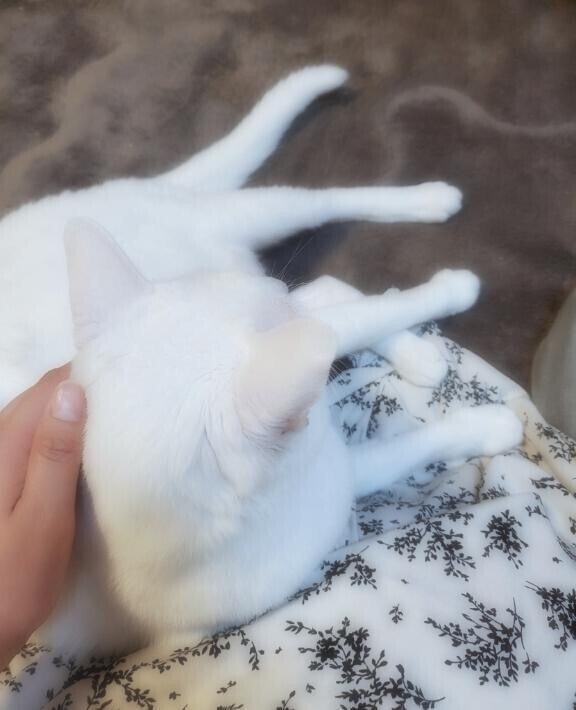 まだまだ🌈