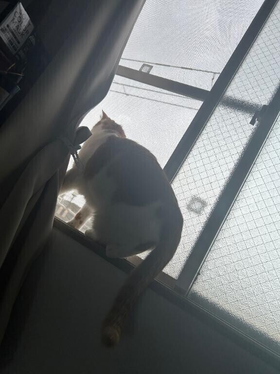 おはよー