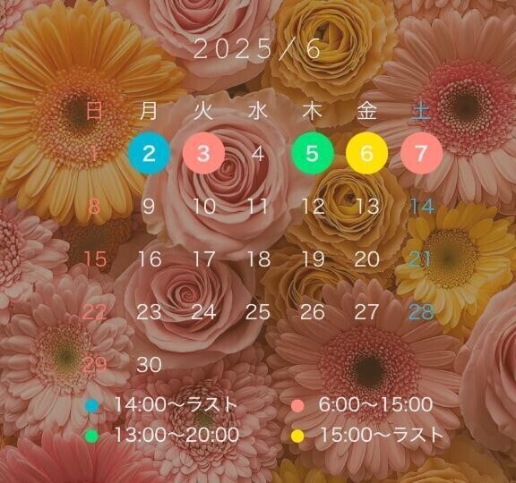 6月のチューリップ🌷