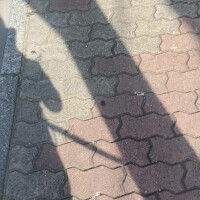 さき