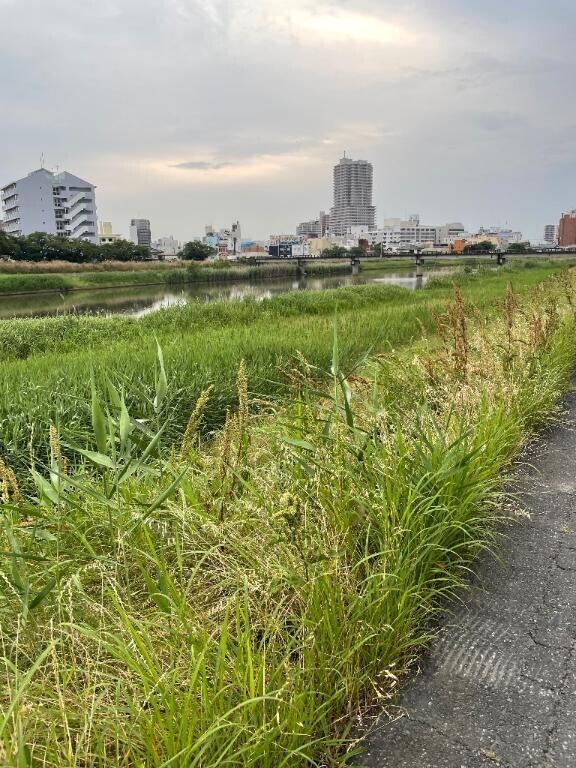 おはようございます☀️