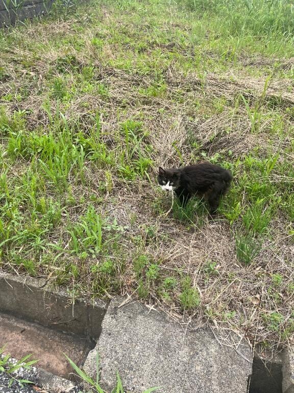 ハラハラ