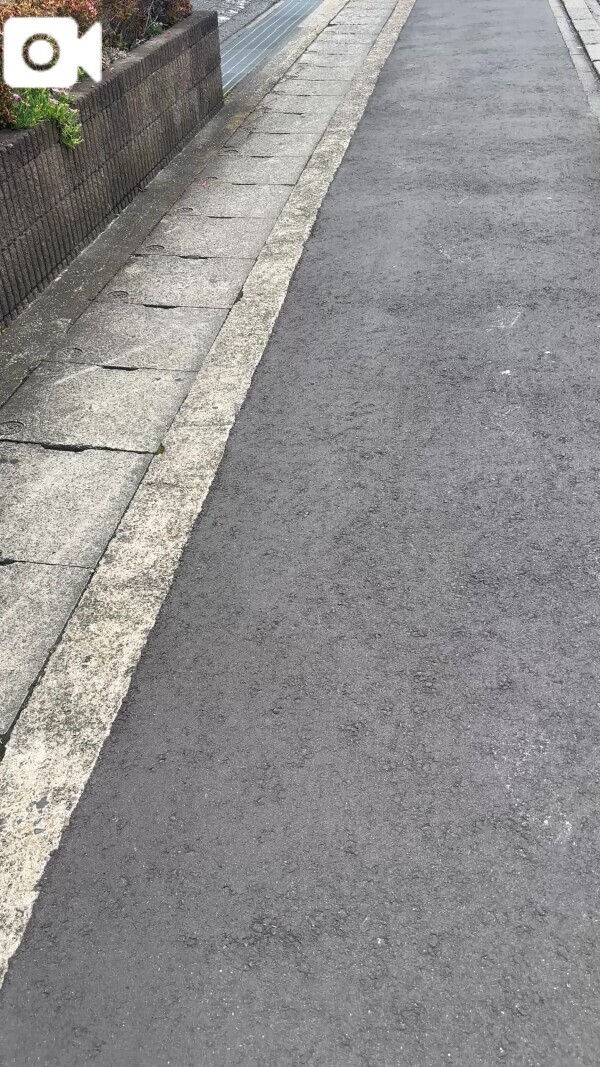 ハッピーハッピー🐰💓