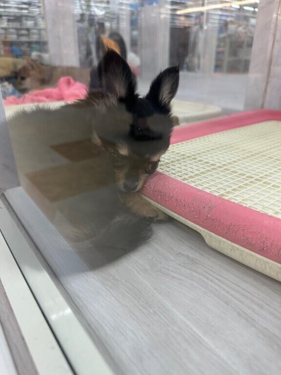 御礼❤️