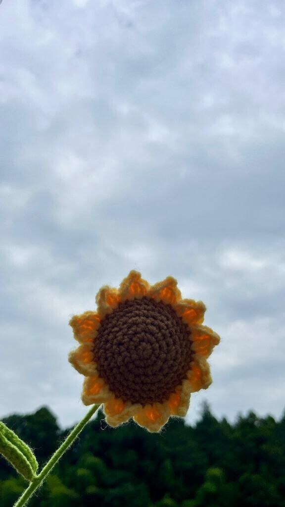 こんにちは🌼もうすぐ出勤です🌙*ﾟ