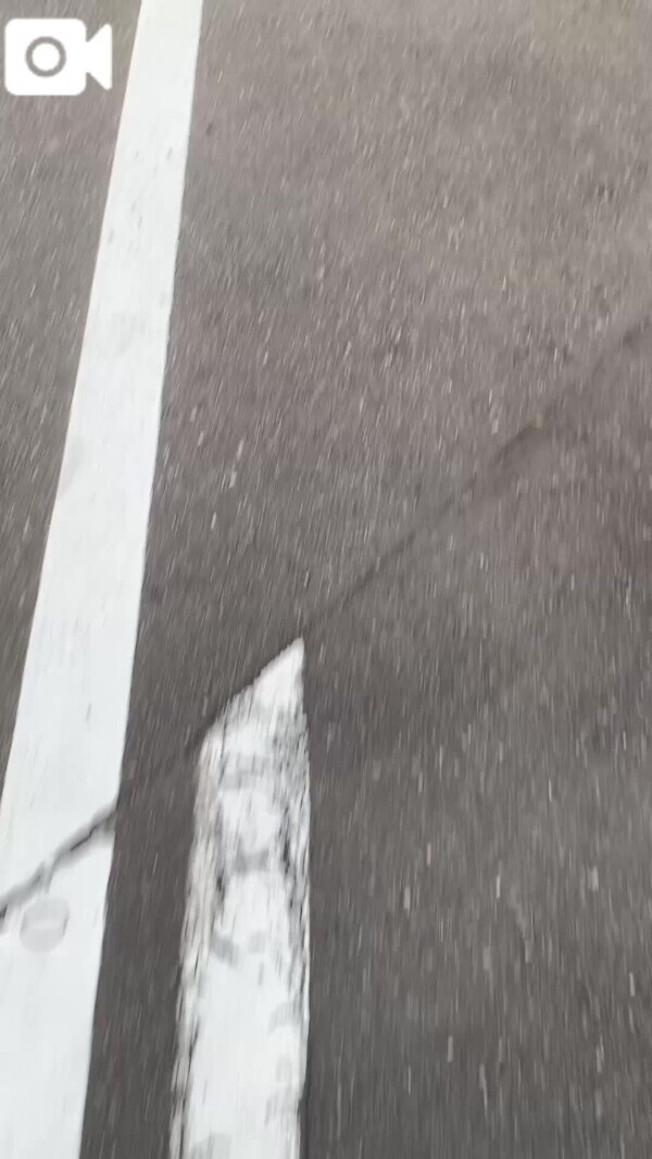 🐴選挙の日って〜♪