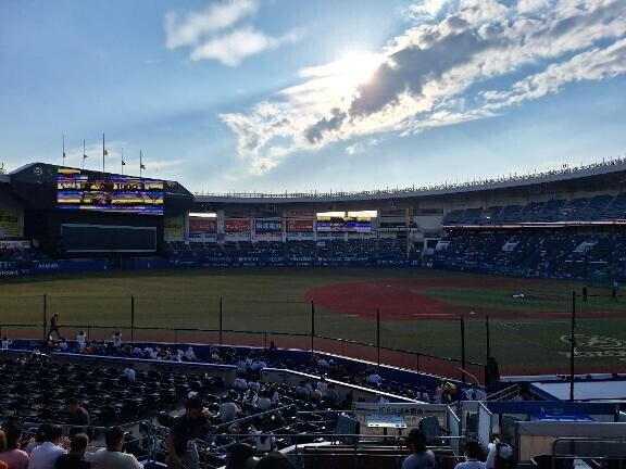 野球日和⚾