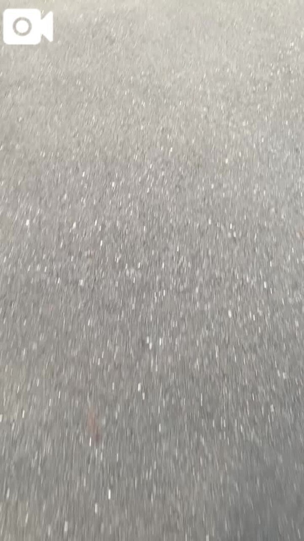 🐴まるごと好きに