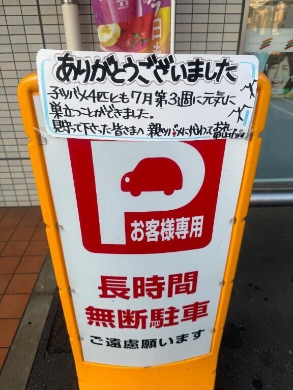 連勤ラスト🩷