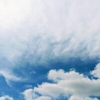 みどり