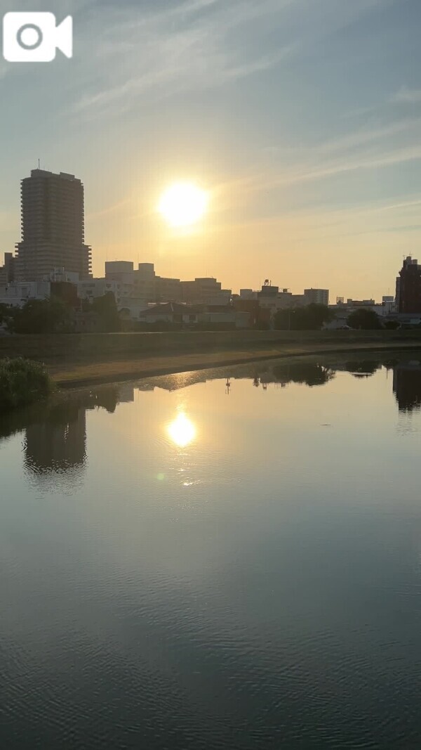 今日も元気に☀️