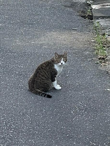 おはようございます☀️