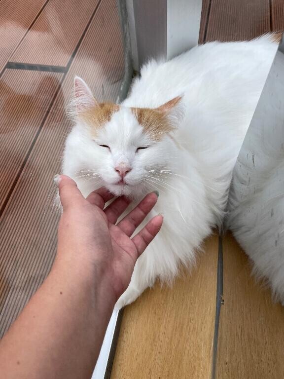 今日もありがとう✨️