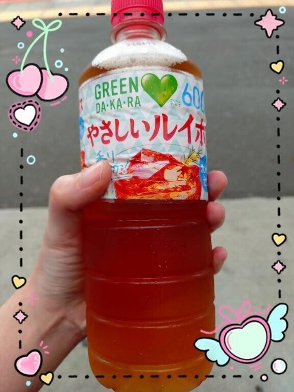 初ルイボス☆