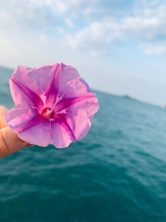 変更と追加🩷