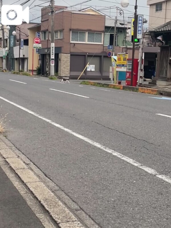 ➷しゅ