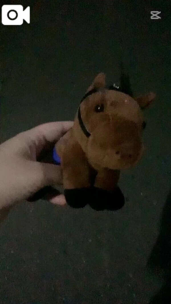 🐴クロワデュノール
