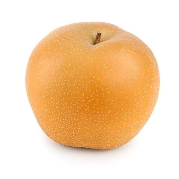 🧡