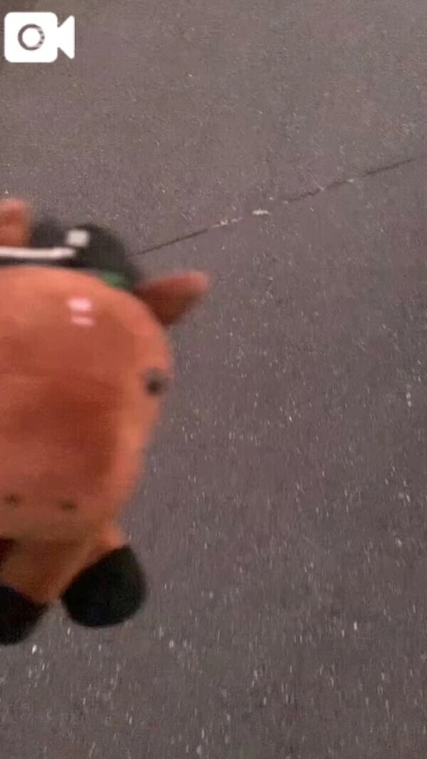 🐴寝溜めの話