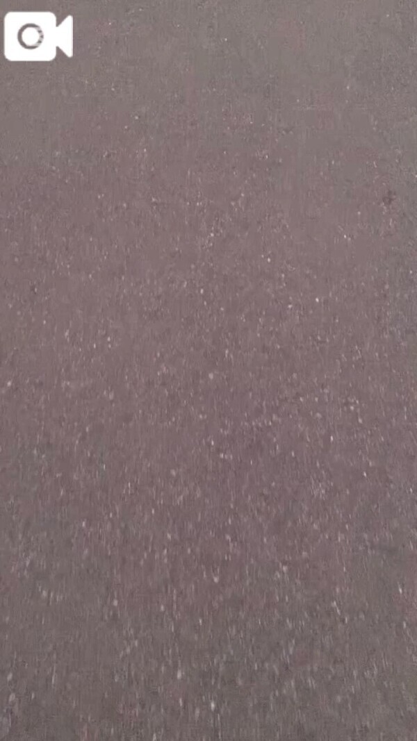 🐴夜のお楽しみ