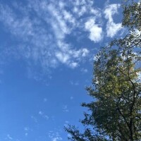 あみ