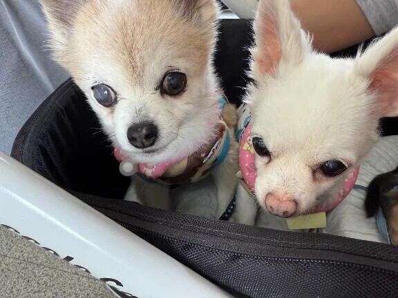 おはようございます☀️