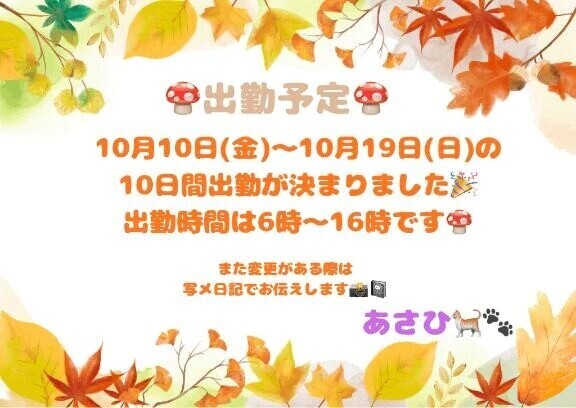 一緒に楽しい秋を過ごしませんか🍄