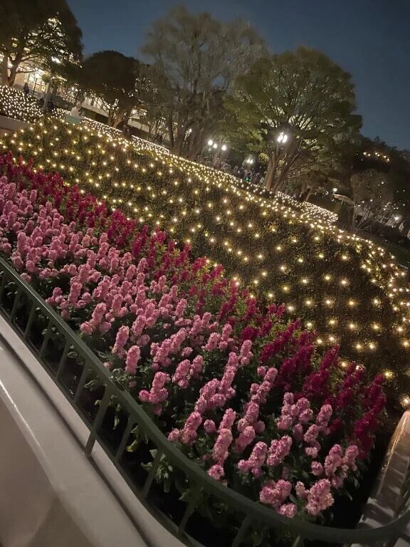 めんどくさい病