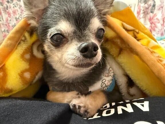 やっと直った⁉️