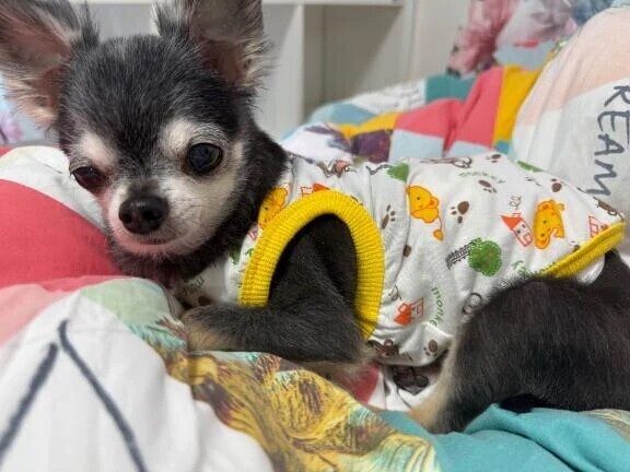 今日は早めに💤