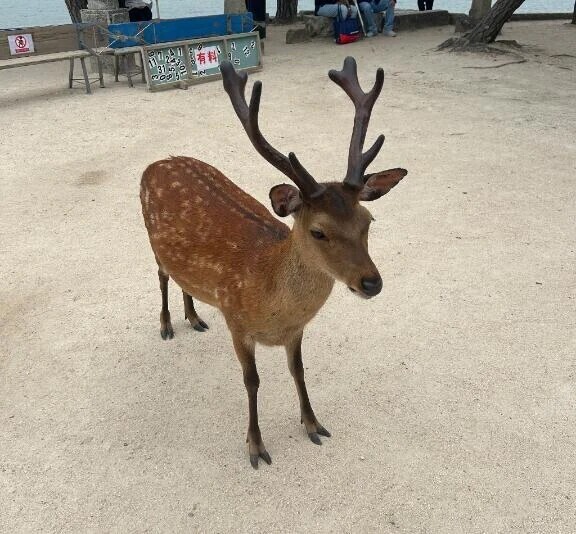 おはようございます☀️